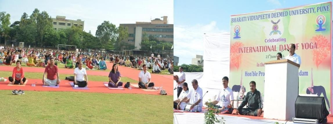 IDY Celebration